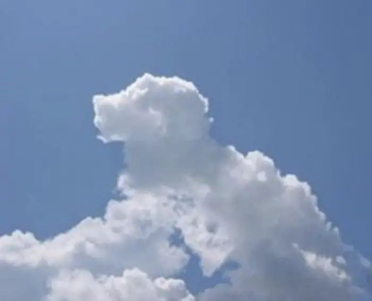 https://t.co/nOklsy1dUA Using the visible form of the provided image's clouds a…