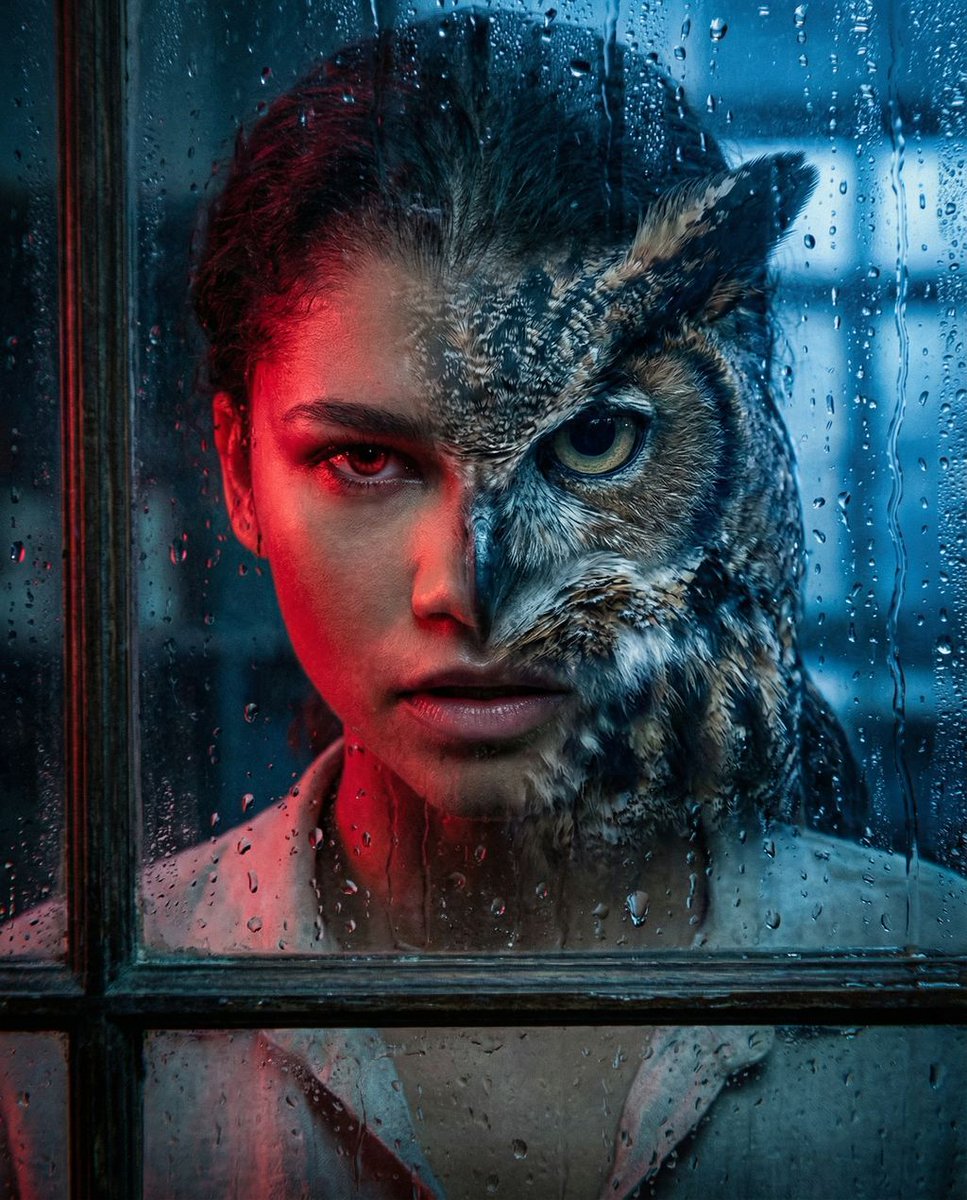 Predatory Instinct Noir, 图片 2