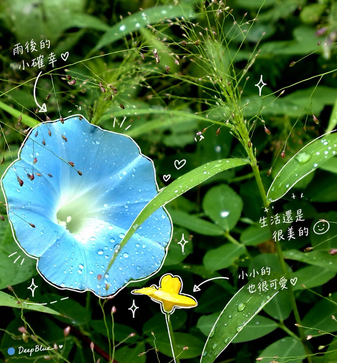 在圖片上方加上一層手繪疊加。最終成品要時髦、放鬆、毫不費力地隨性。繪製規則:用細細的手繪線條,像是用白色筆畫上去。保持單筆勾勒風格:粗糙、略帶…, 图片 1
