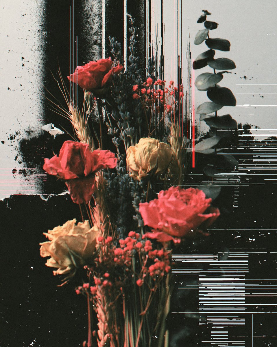 A flat lay composition features a collection of dried flowers and botanical ele…