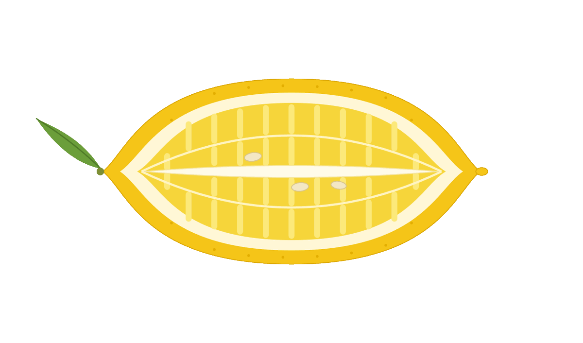 "a lemon cut lengthwise." 1 Claude (SVG) · 2 Nano Banana · 3 GPT-Image · 4 Real…