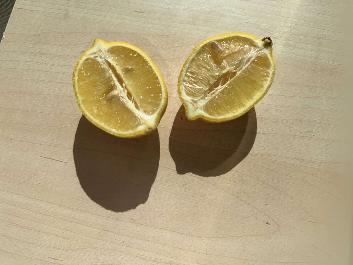 一个纵向切开的柠檬。, 图片 4