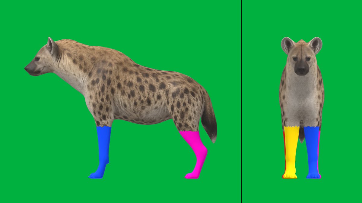 PROMT for model ref Character reference sheet of a spotted hyena, two orthograp…